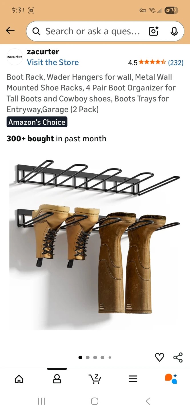 Wall Mounted Boot Rack Organizer (2 Pack)