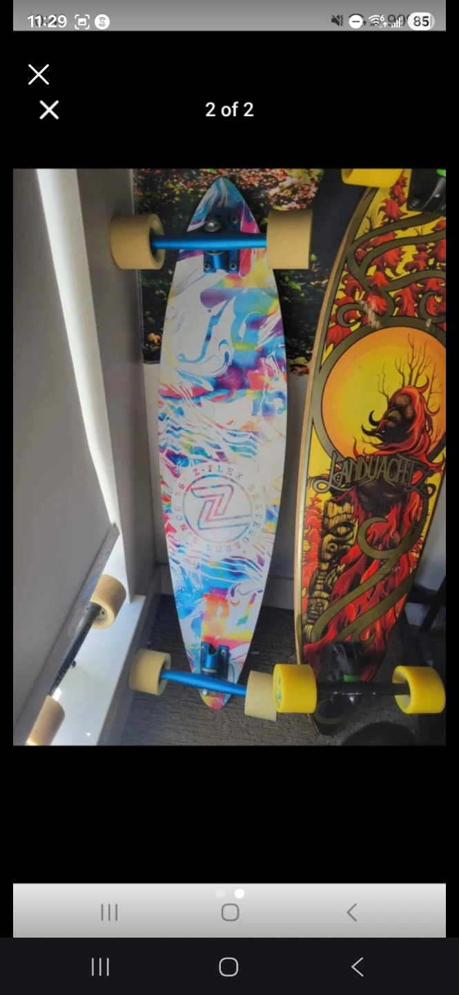 Z-Flex Longboard