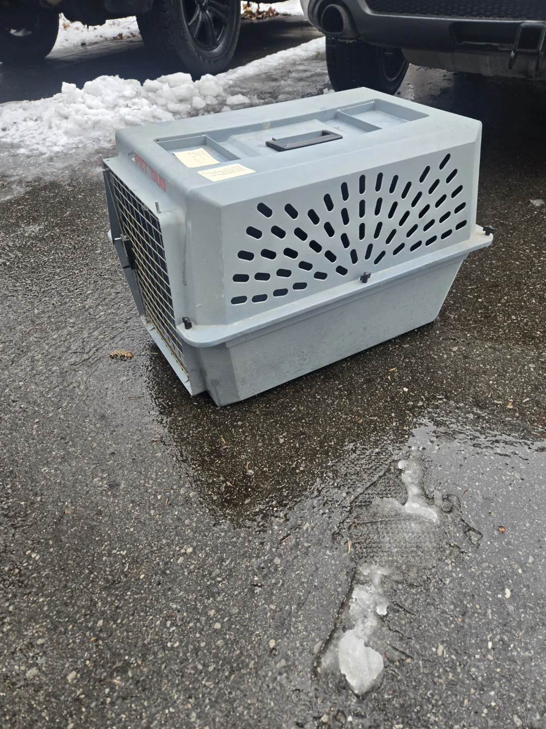 Pet Supplies - photo 2