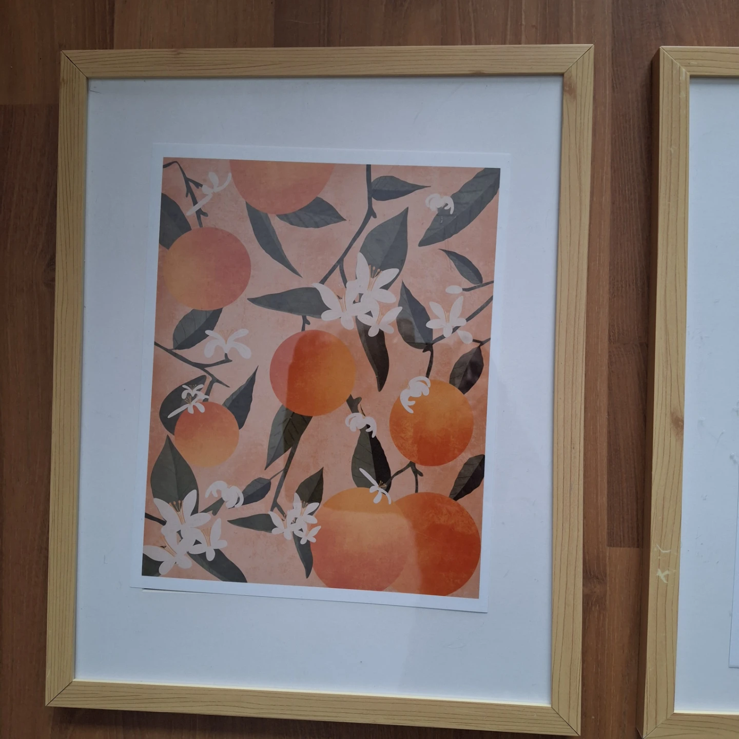 Framed Citrus Fruit Art Prints (Oranges & Lemons) - photo 2