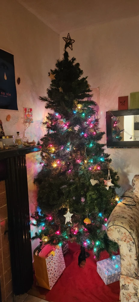 Christmas Tree - photo 4