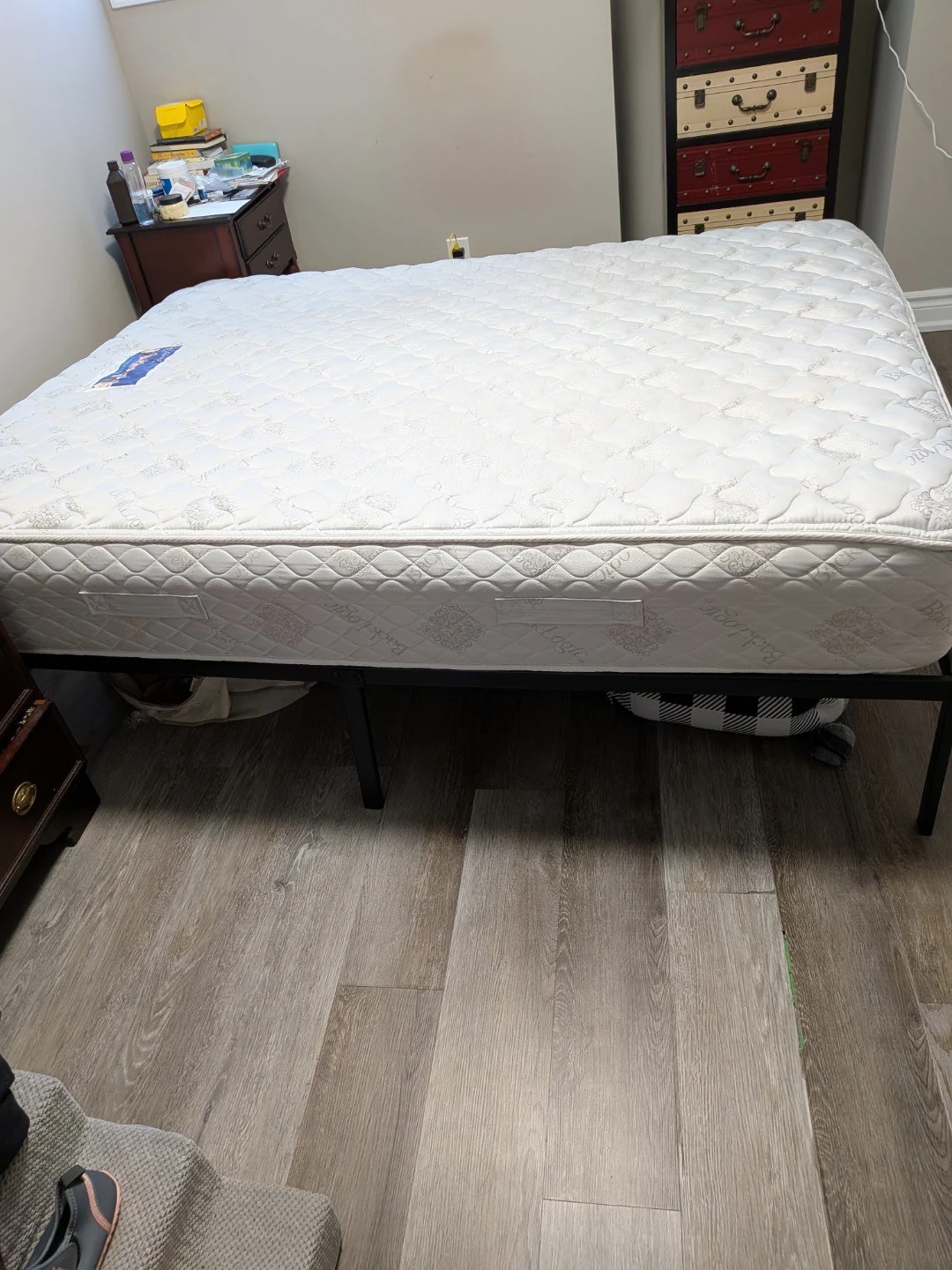 Free Queen mattress and bed rails