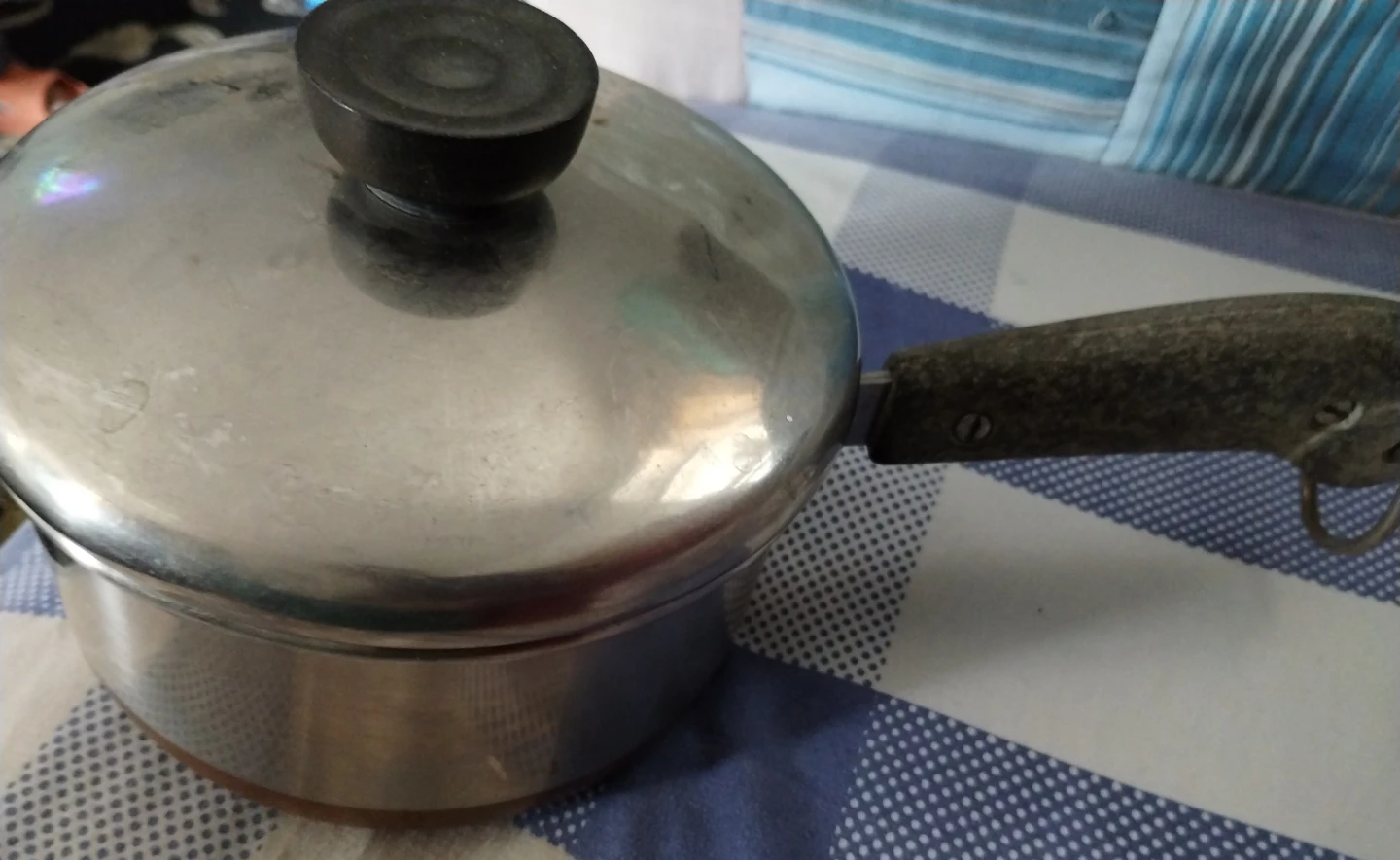 Stainless Steel Saucepan with Lid 🥕