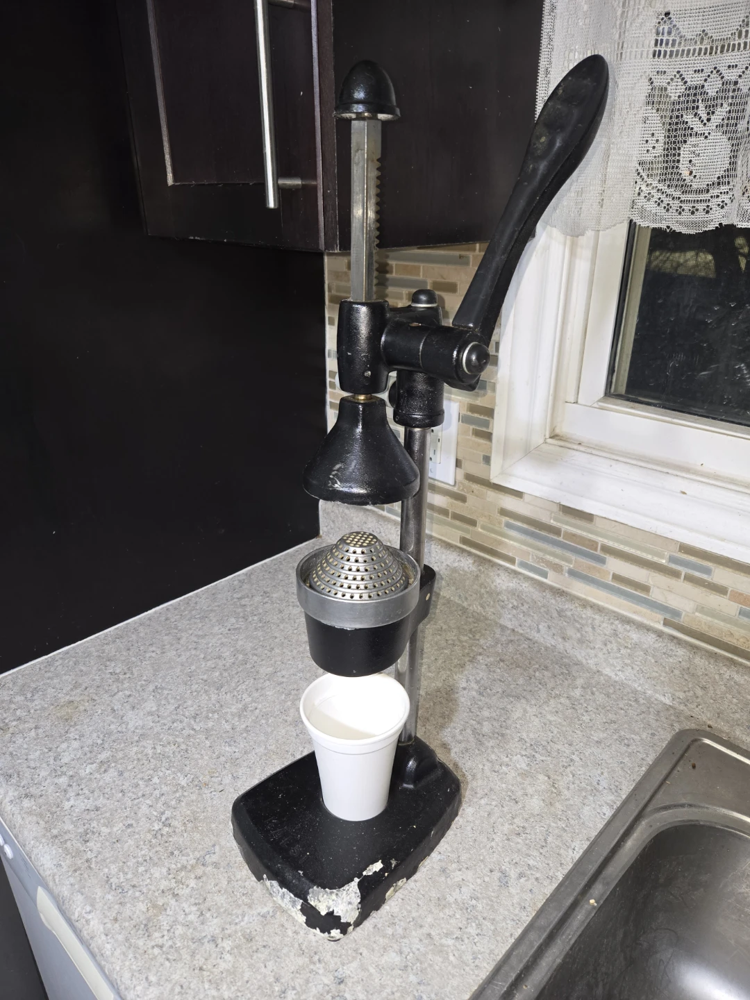 Heavy-duty Manual Juicer