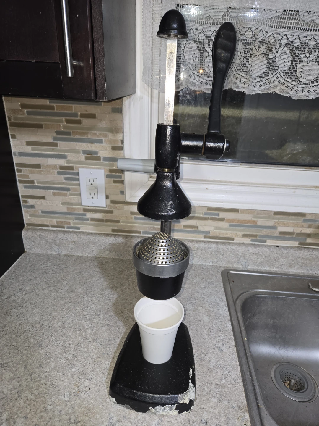Heavy-duty Manual Juicer - photo 2