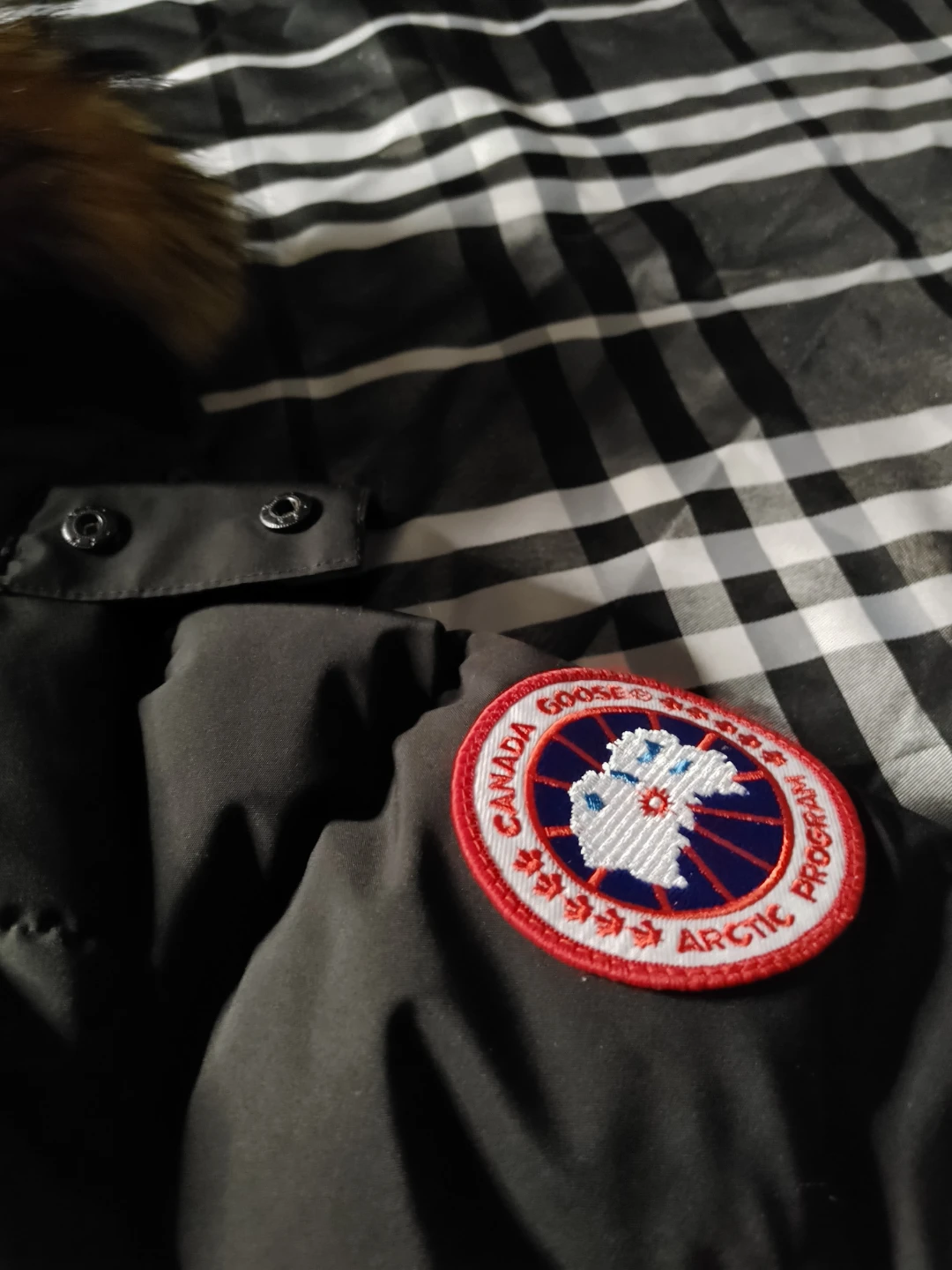 Canada Goose Arctic Program Puffer Jacket - photo 2