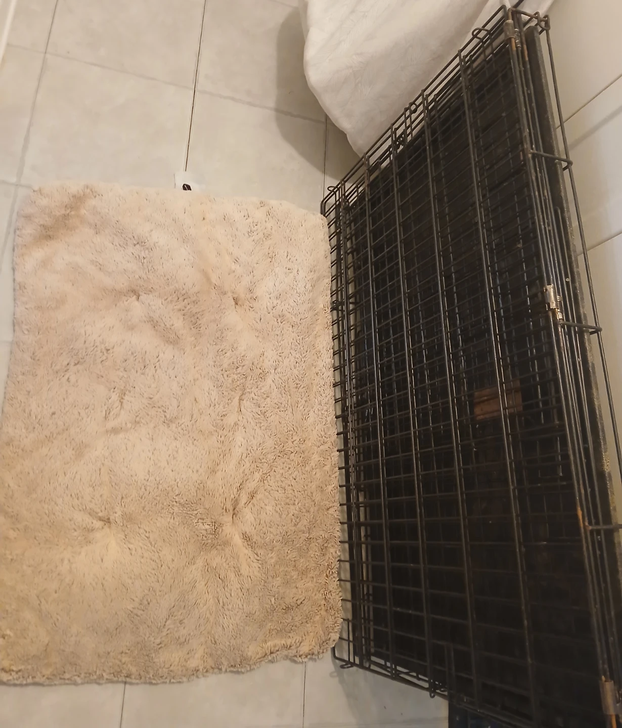 Dog crate