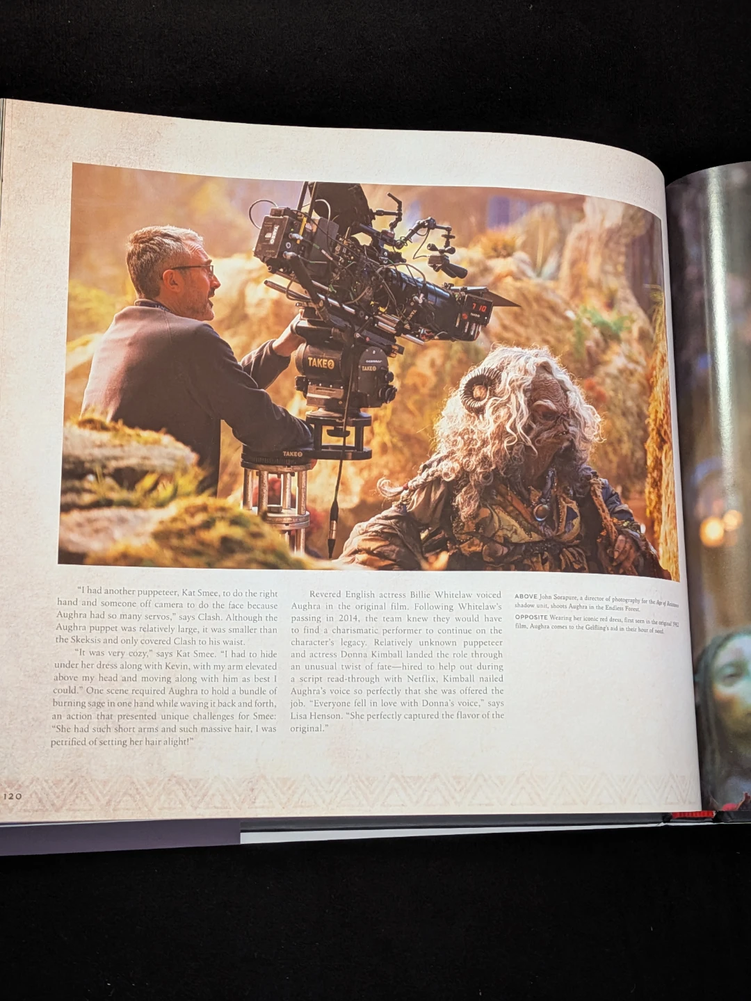 💎 Dark Crystal series Making-Of art book - photo 2