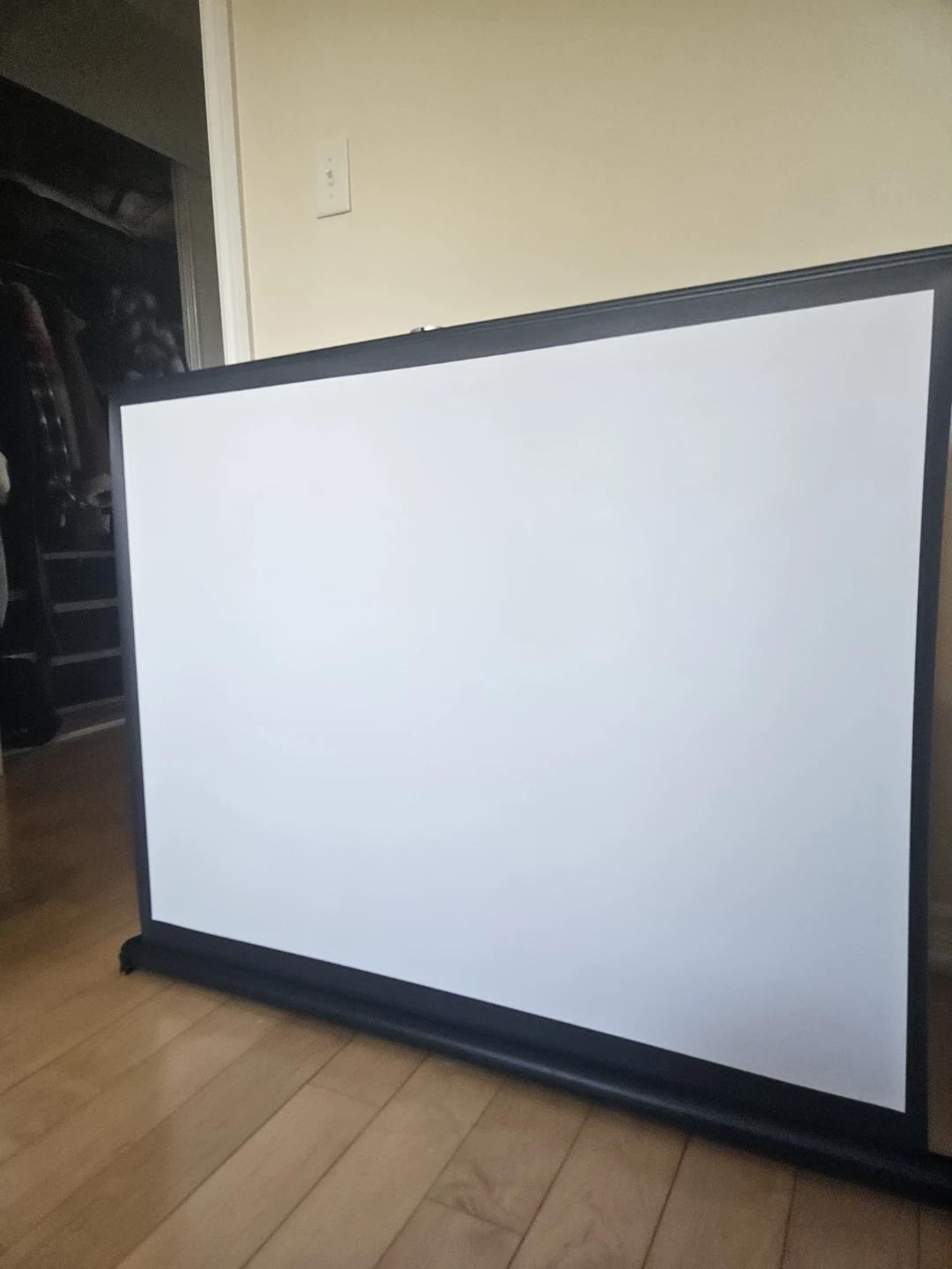 Projector Screen stand-alone