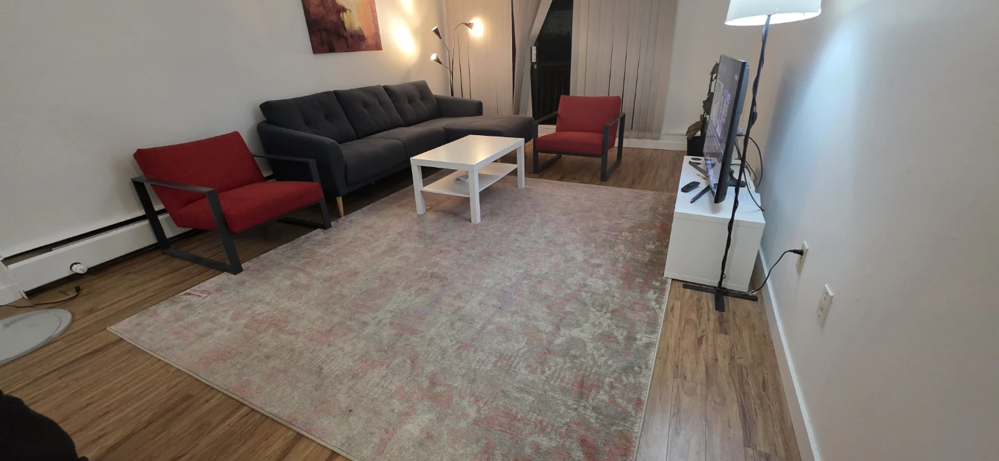 💥Moving sale💥-IKEA HVIDING Rug 240x290 cm