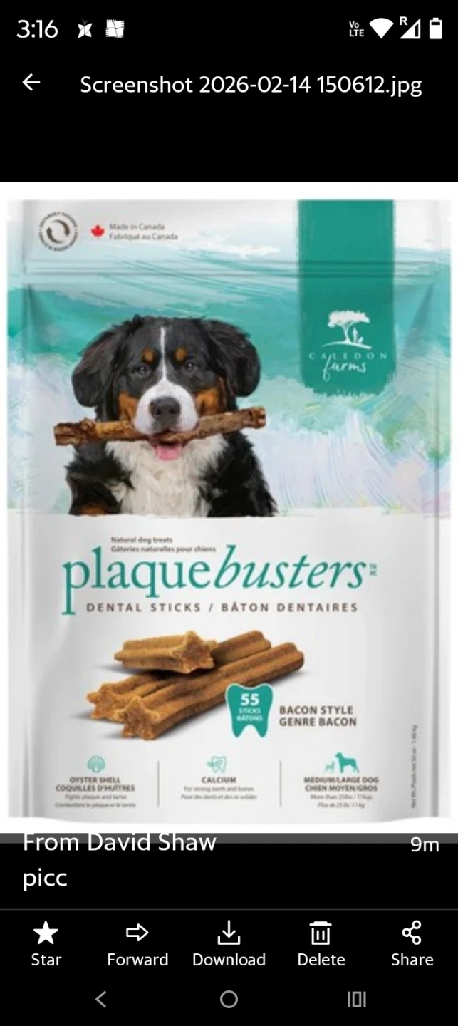 Large pack PlaqueBusters Dental Sticks - Bacon Style (55 count)