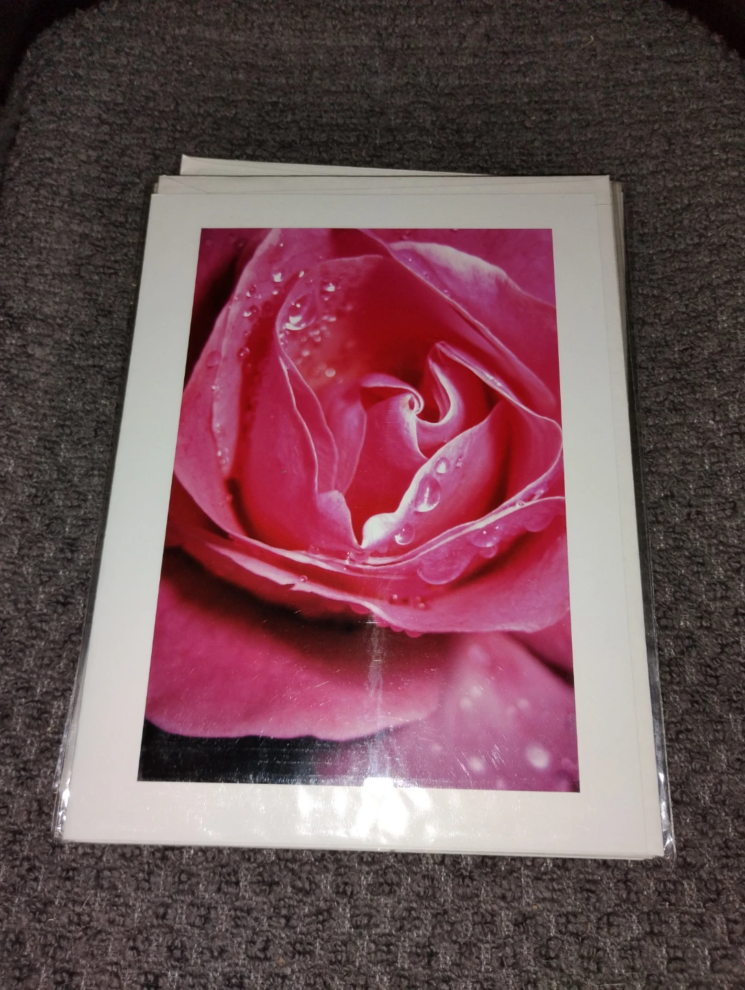 NEW!! 6 GORGEOUS FLOWER PHOTOGRAPH CARDS