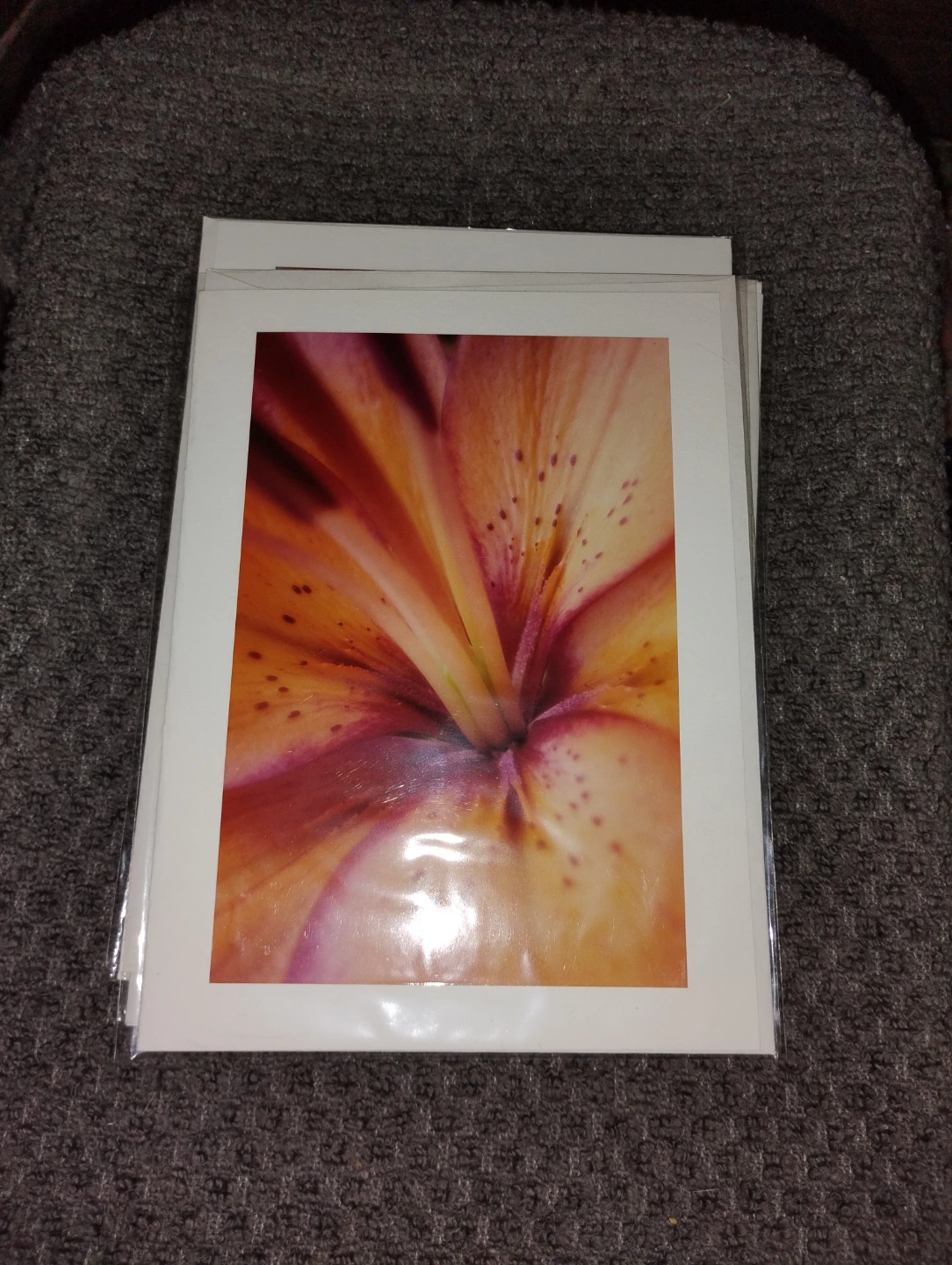 NEW!! 6 GORGEOUS FLOWER PHOTOGRAPH CARDS - photo 3