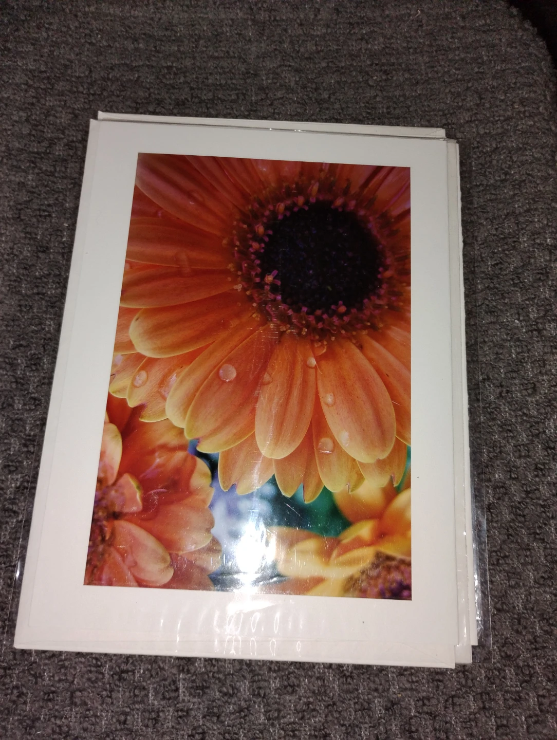 NEW!! 6 GORGEOUS FLOWER PHOTOGRAPH CARDS - photo 4