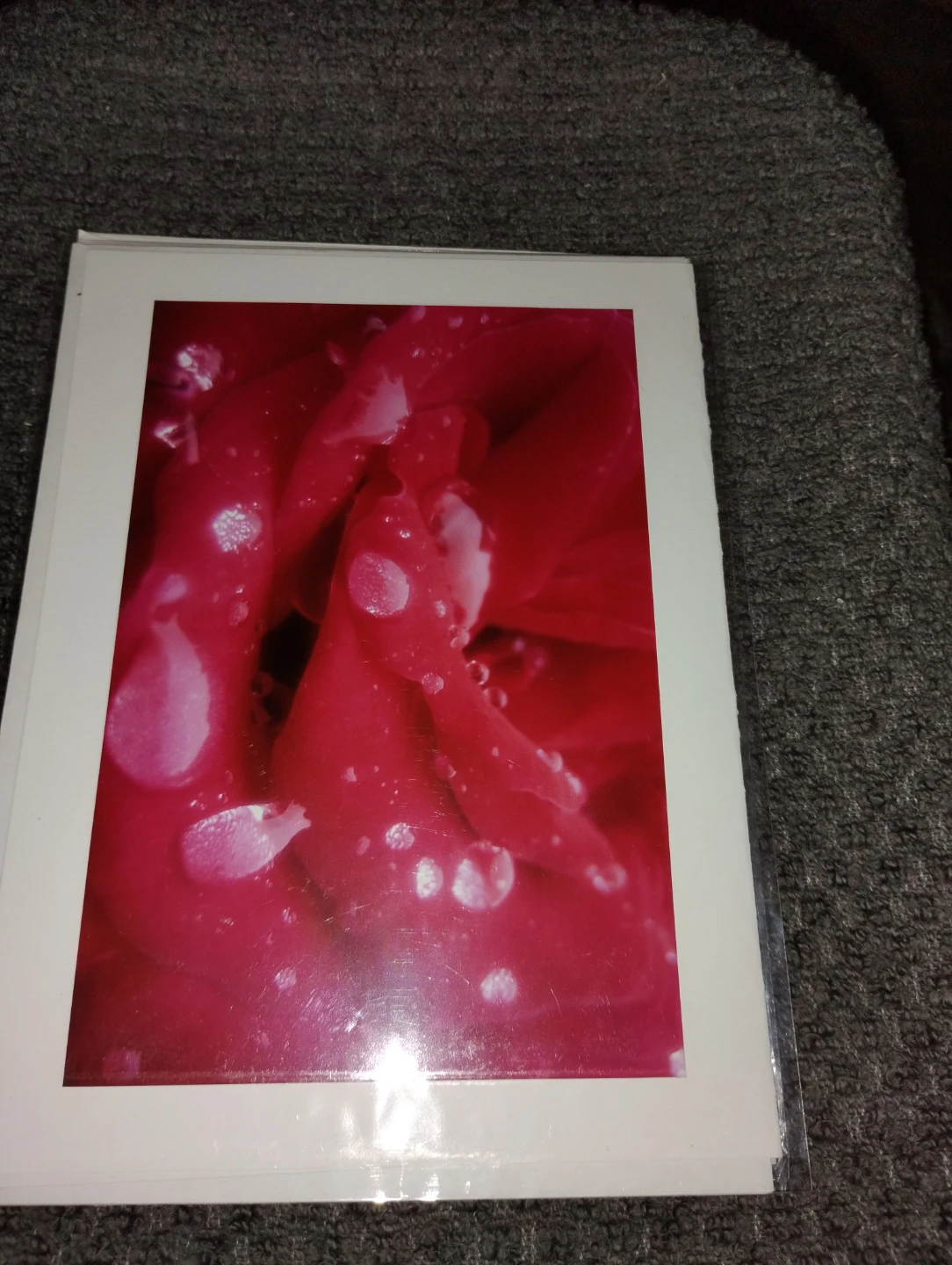 NEW!! 6 GORGEOUS FLOWER PHOTOGRAPH CARDS - photo 5