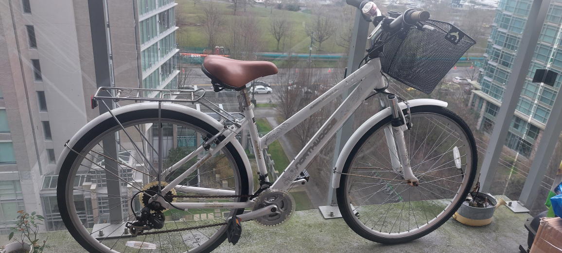 Bike with Basket