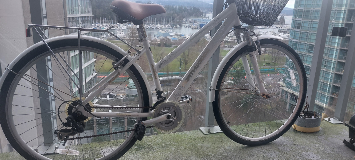Bike with Basket - photo 2