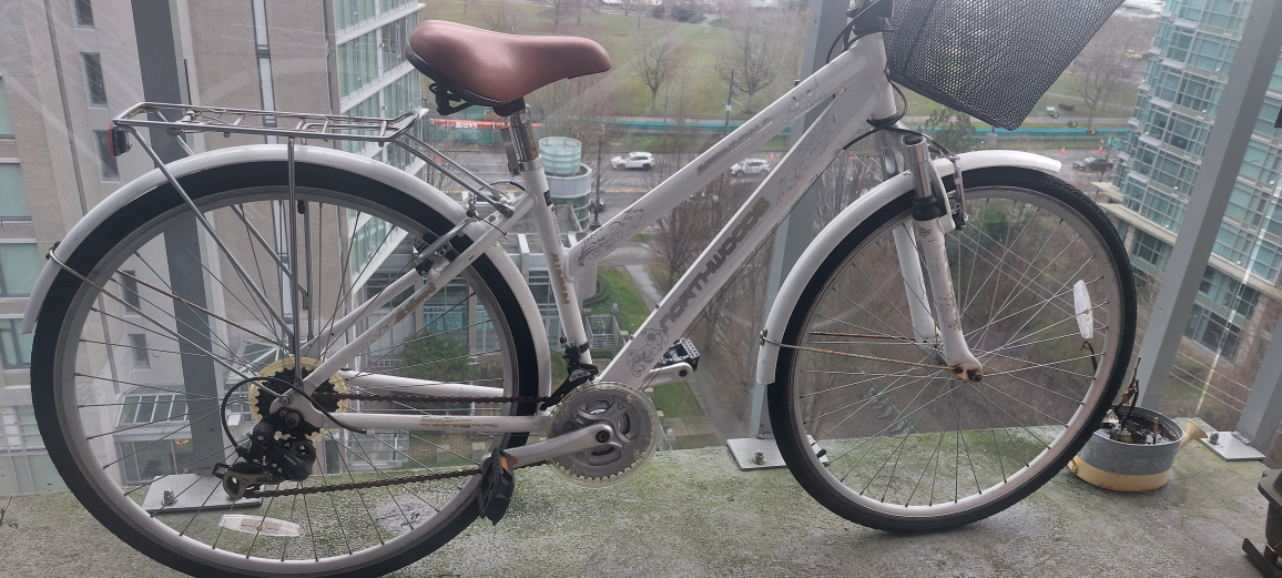 Bike with Basket - photo 3