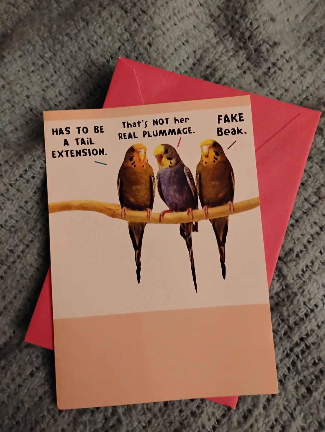NEW!! BUDGIE BIRTHDAY CARD