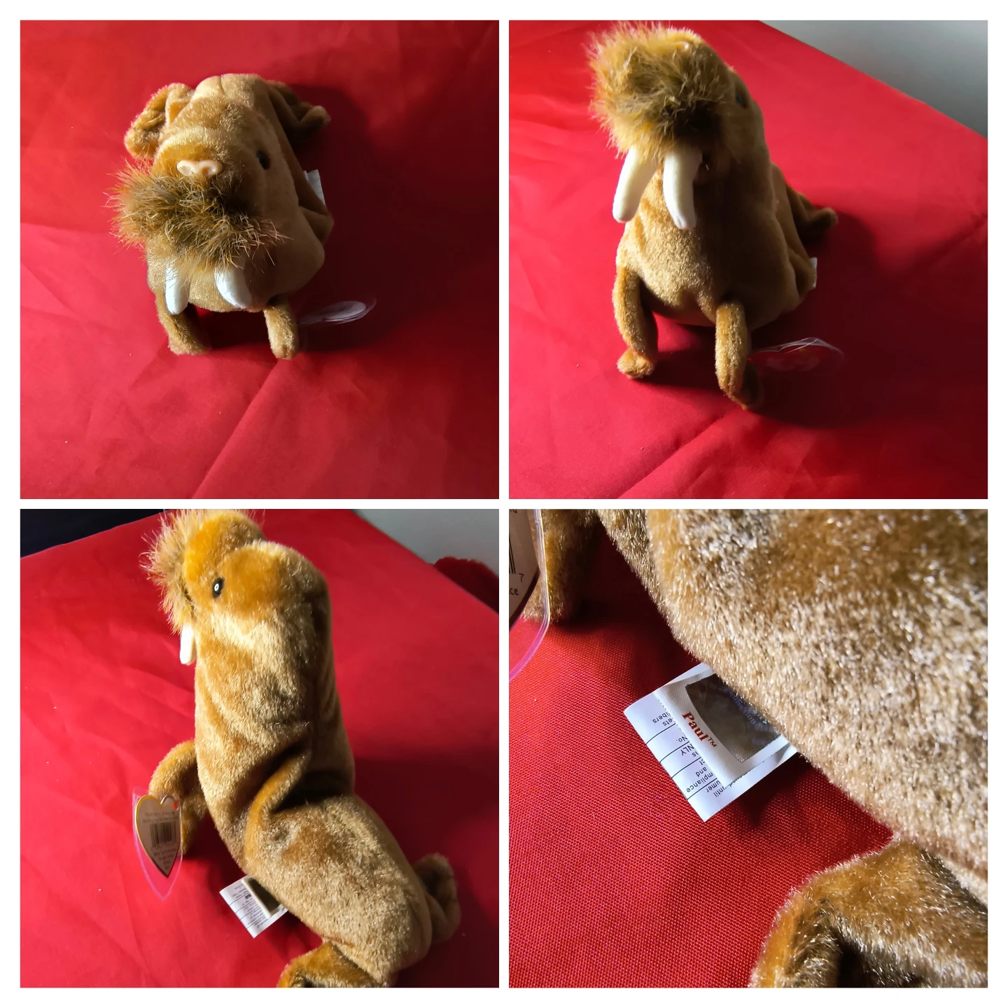 Ty Beanie Baby Paul the Walrus Plush Toy - photo 5