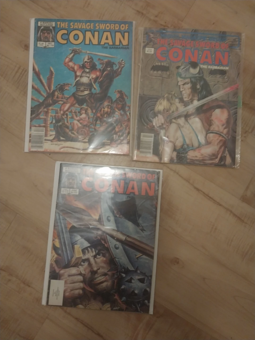 The Savage Sword of Conan Comic Collection - photo 2