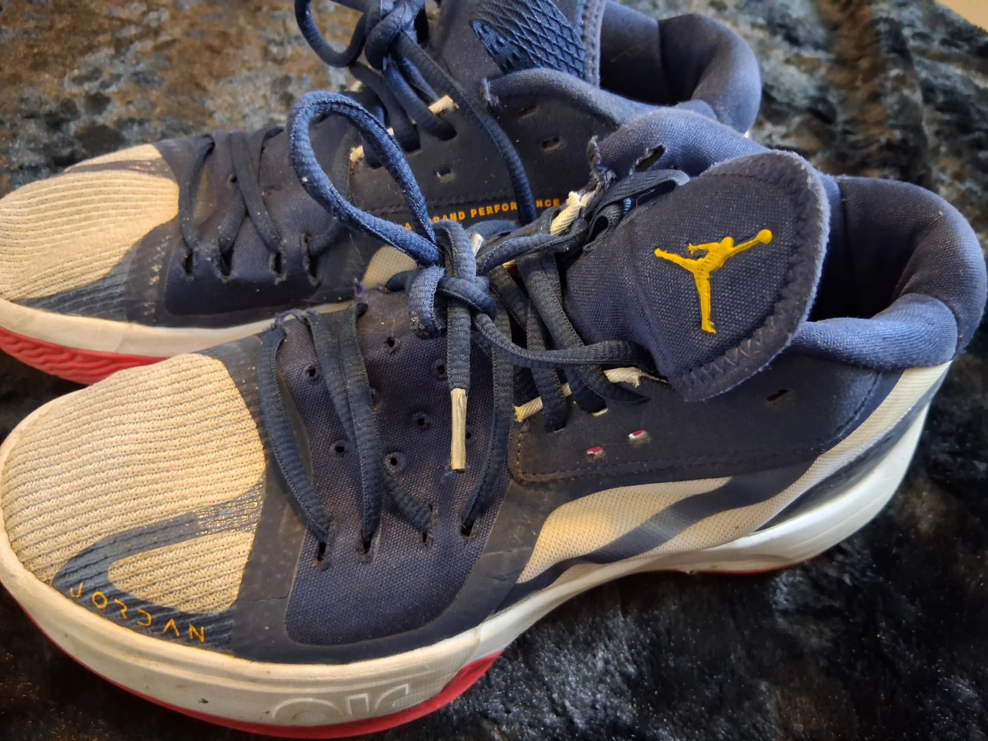 Jordan Blue and White Basketball Shoes