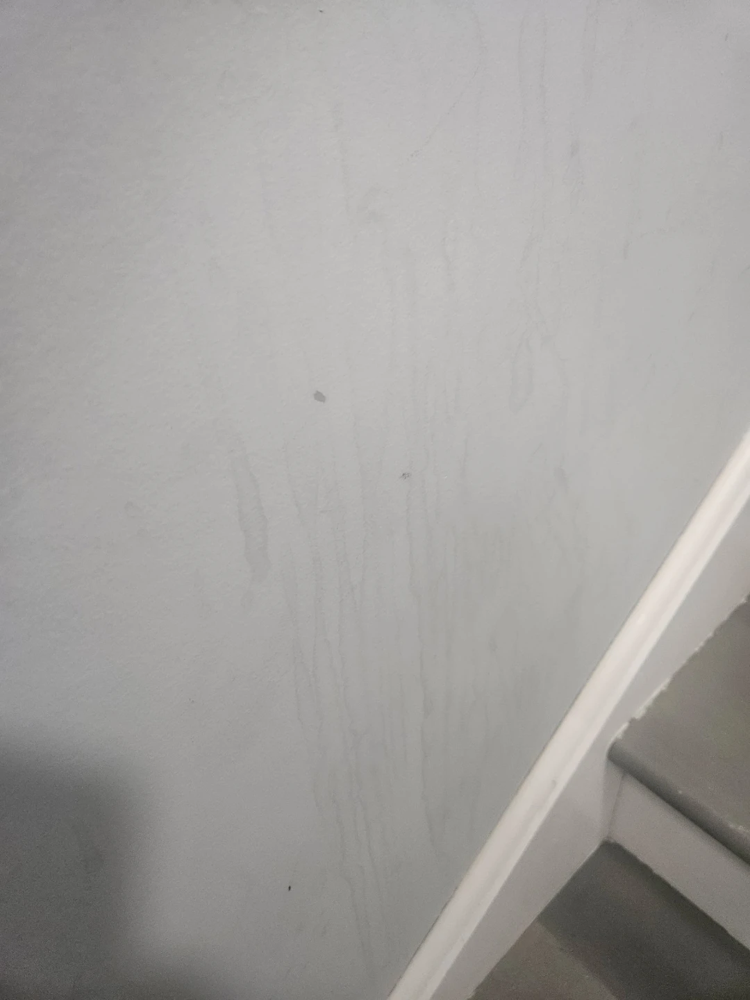 OLAM CLEANING SERVICE - photo 3
