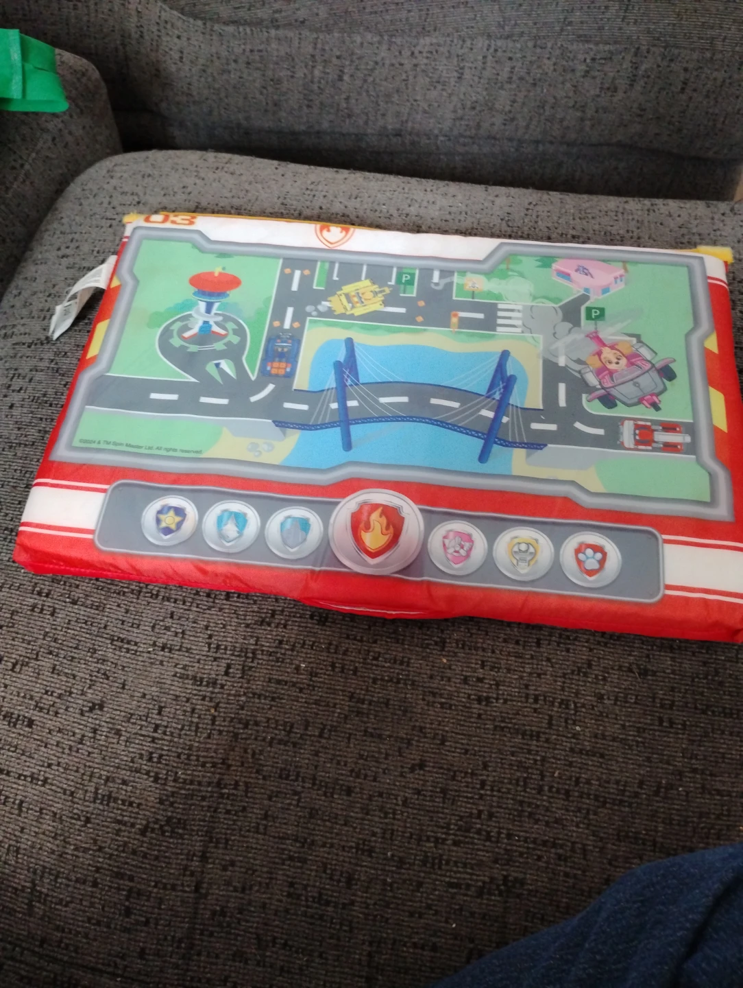 Paw Patrol Play Mat