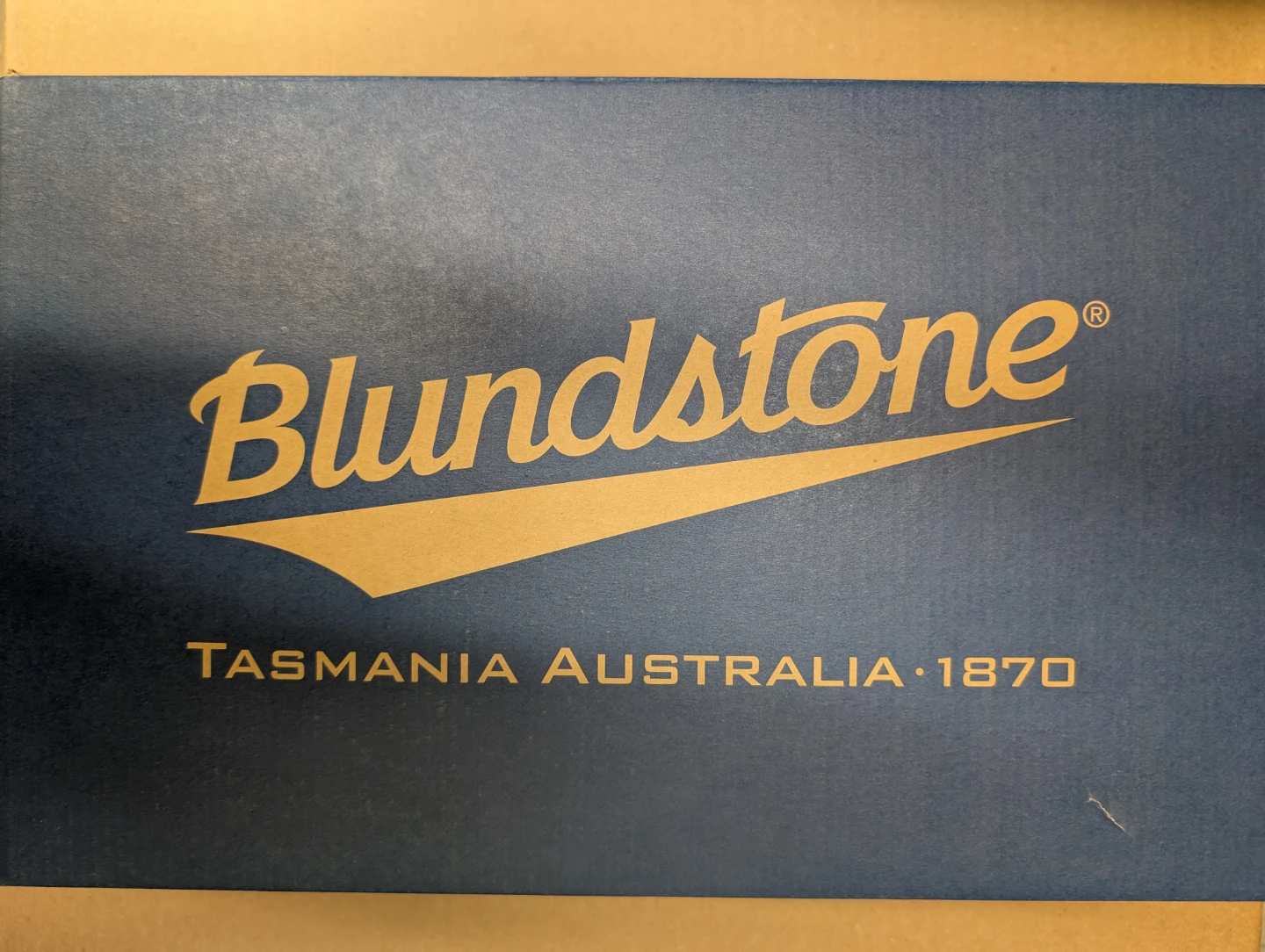 Blundstone Black Leather Chelsea Boots CSA Approved - photo 3