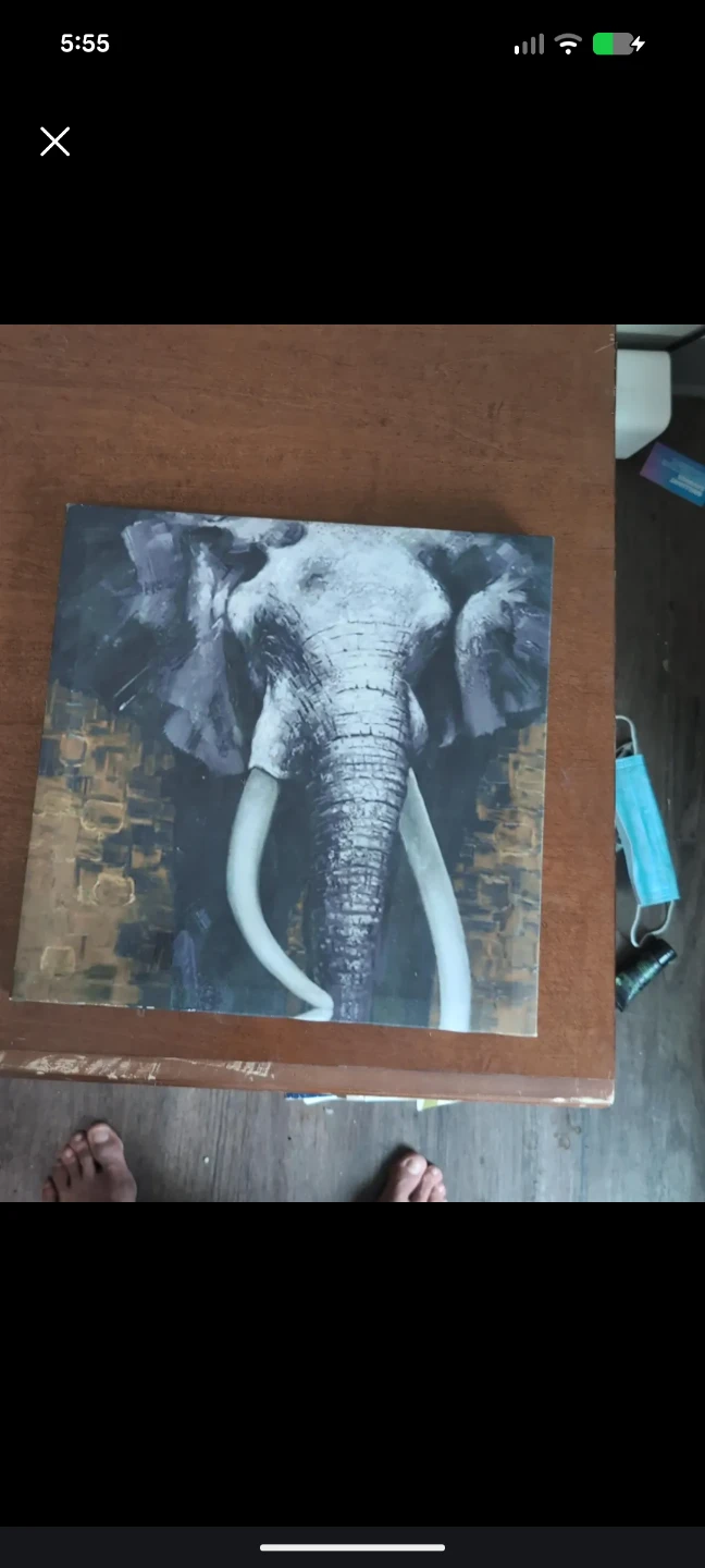 Elephant Canvas Wall Art - photo 2