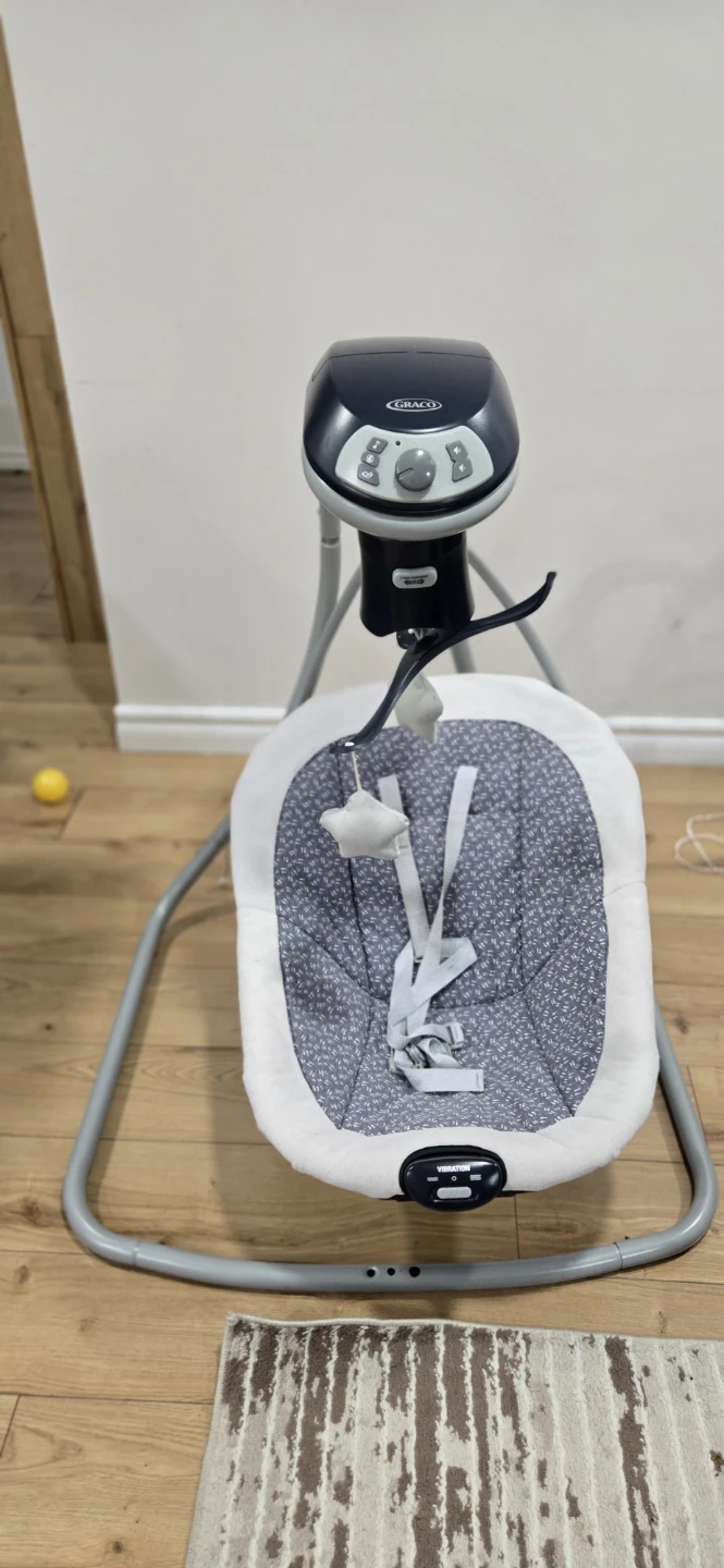 Graco Baby Swing