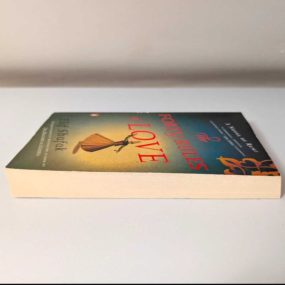 The Forty Rules of Love by Elif Shafak 🏆 - photo 4