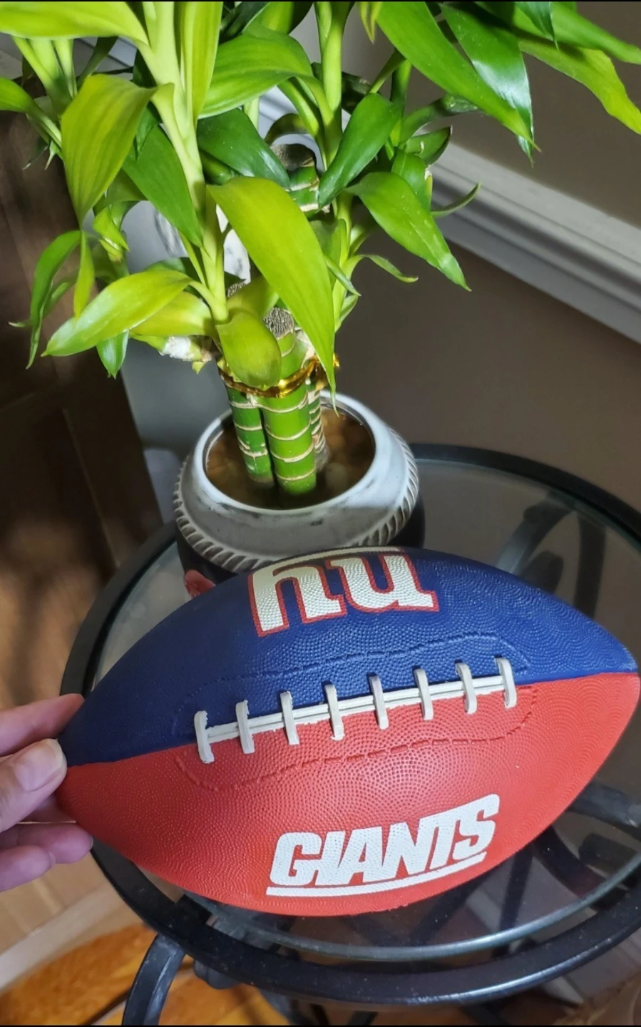🥕New York Giants NFL Football🥕 - photo 3