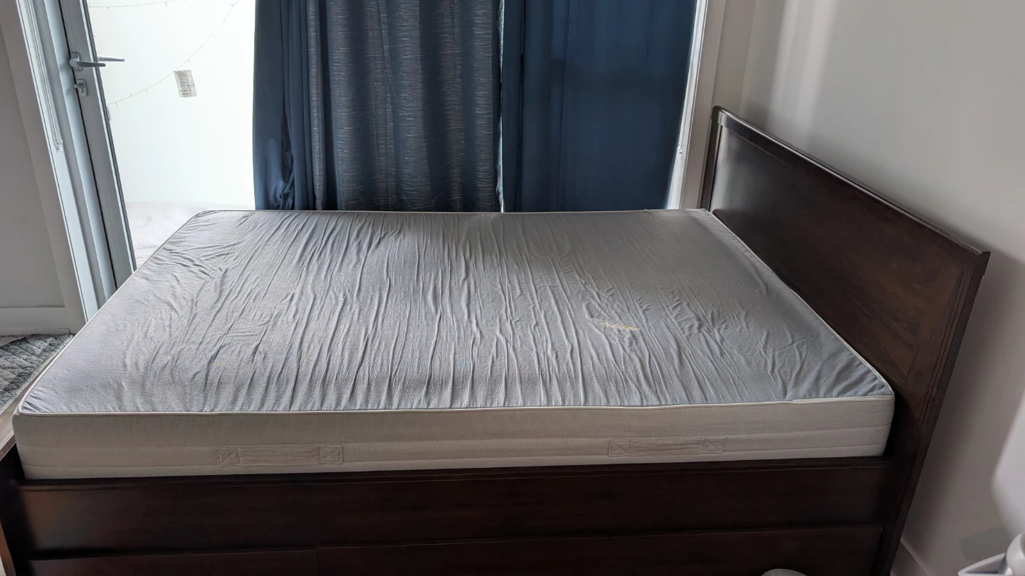Sealy Mattress