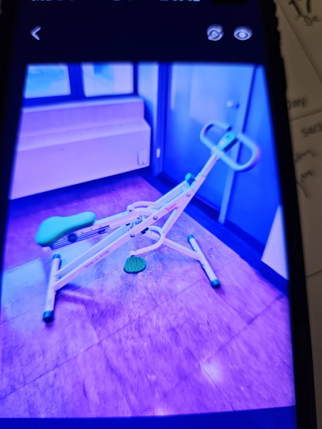 Sunny "Row-N-Ride" Exercise Machine