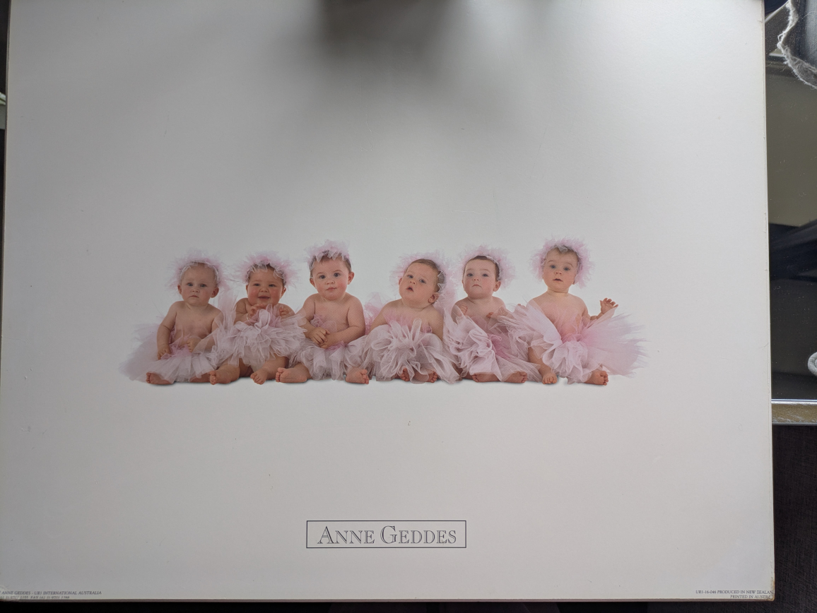 Anne Geddes Baby Wall Art