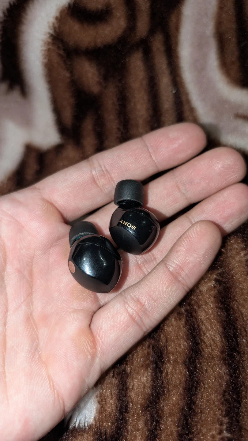 Sony WF-1000XM5 Wireless Earbuds - photo 4