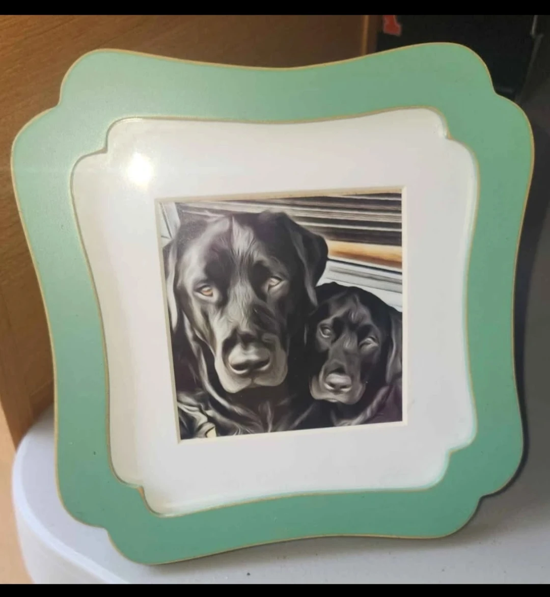 Photo Frame Collection - Dog and Cat Theme