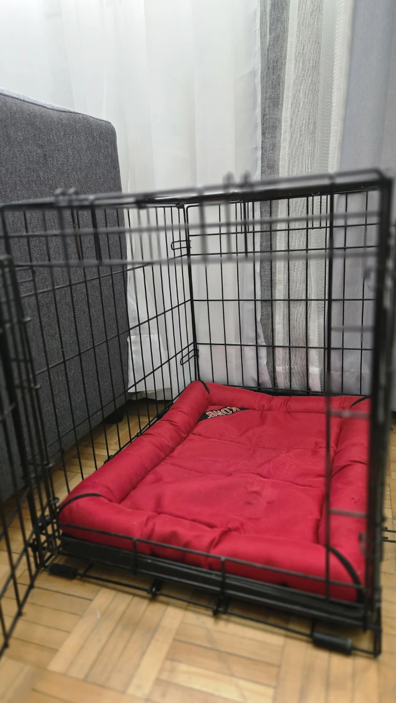 Top Paw 24" Folding Double Door Dog Crate - photo 3