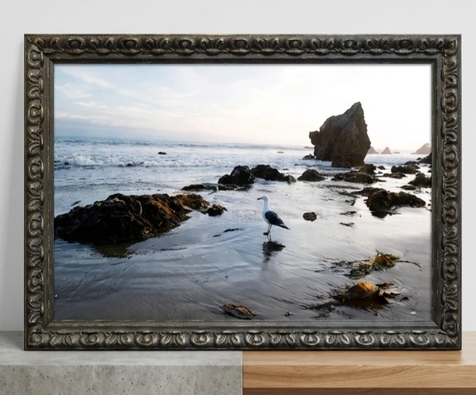 Framed Coastal Seascape Photo with Seagull
