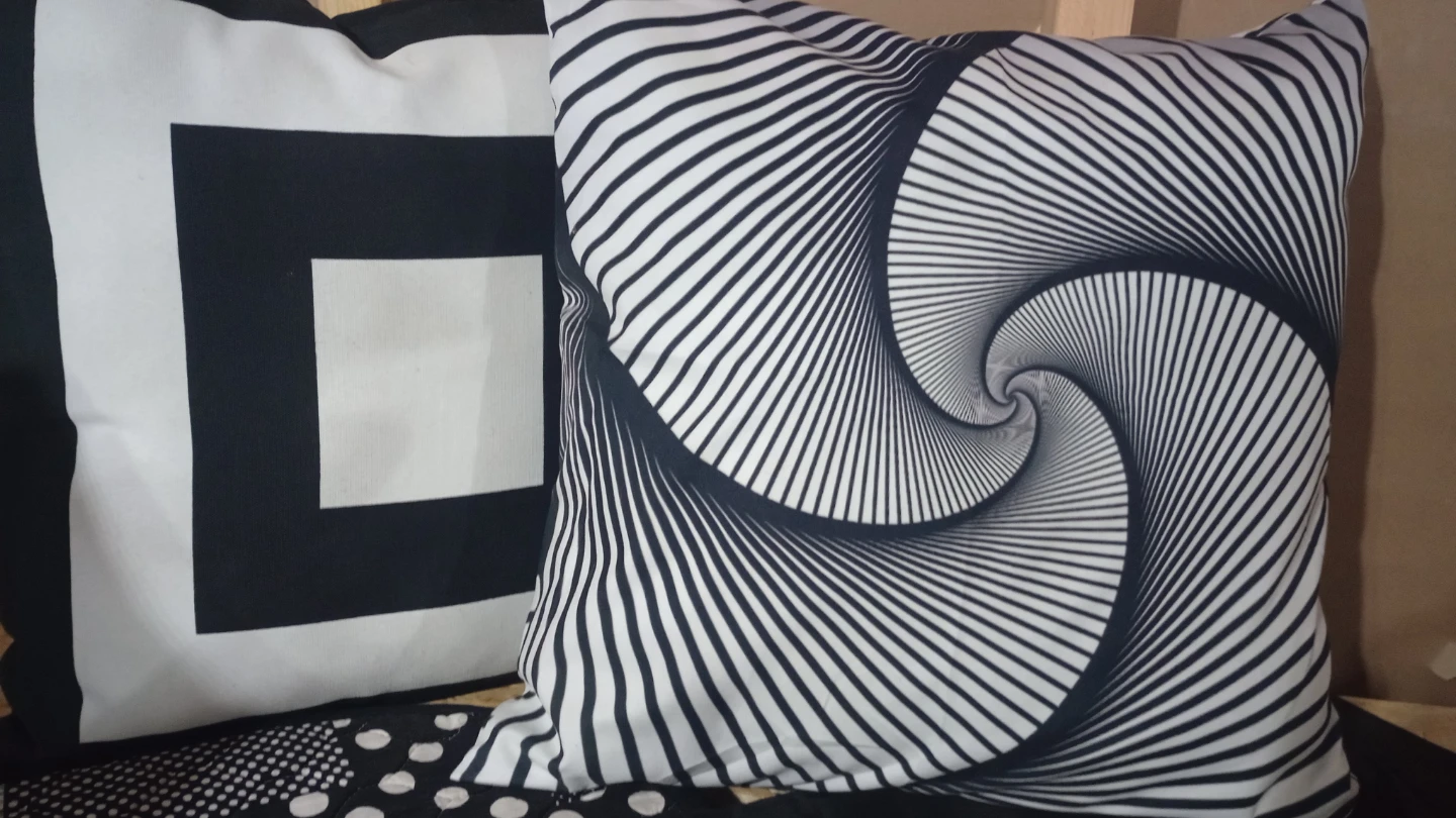 Black and white decor - photo 4