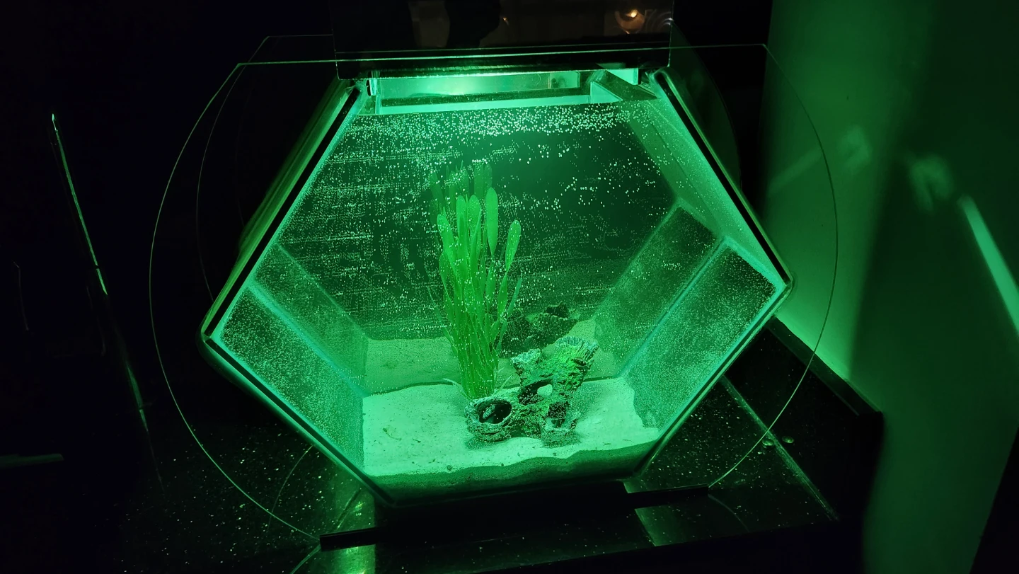 Hexagonal Glass Aquarium with Green LED Light - photo 3