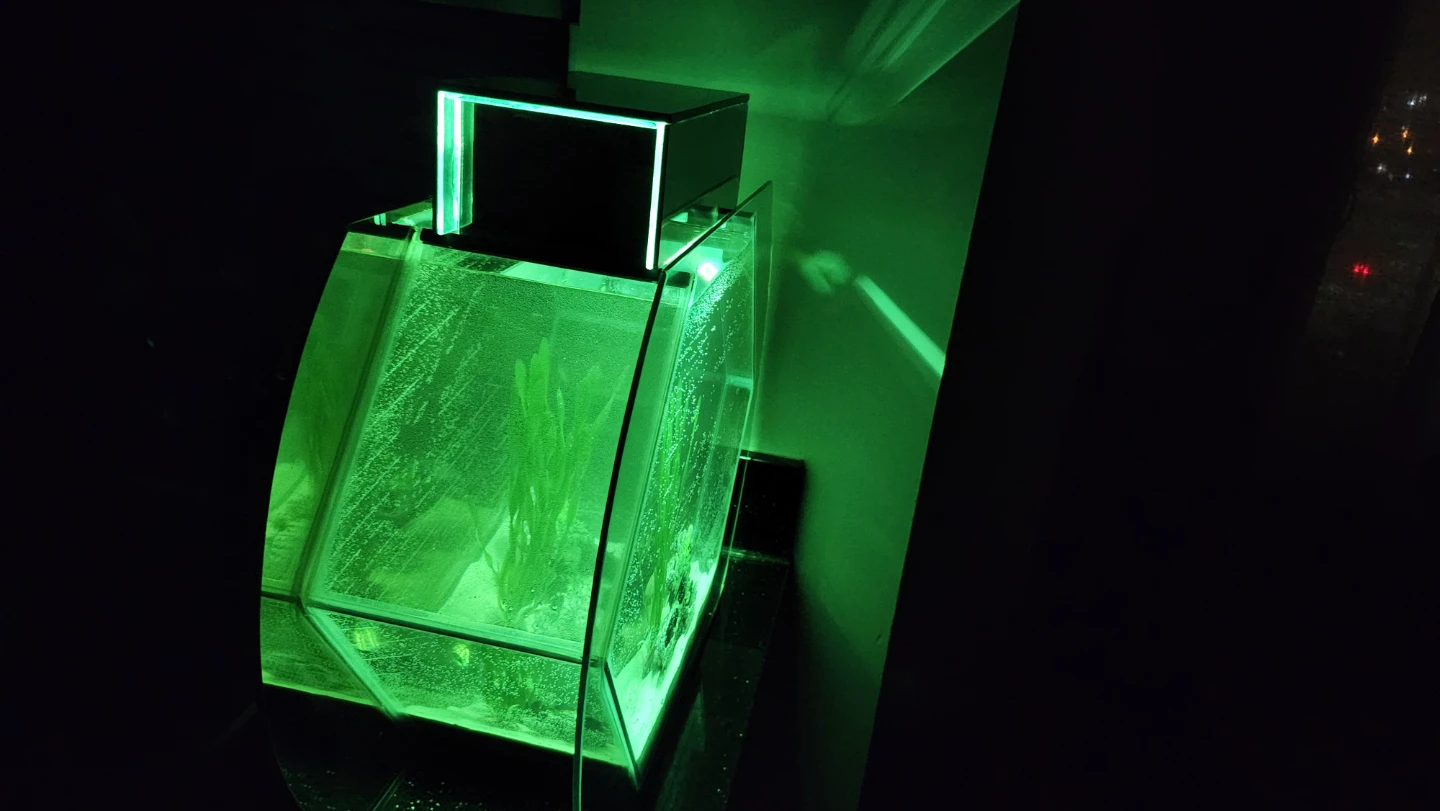 Hexagonal Glass Aquarium with Green LED Light - photo 5