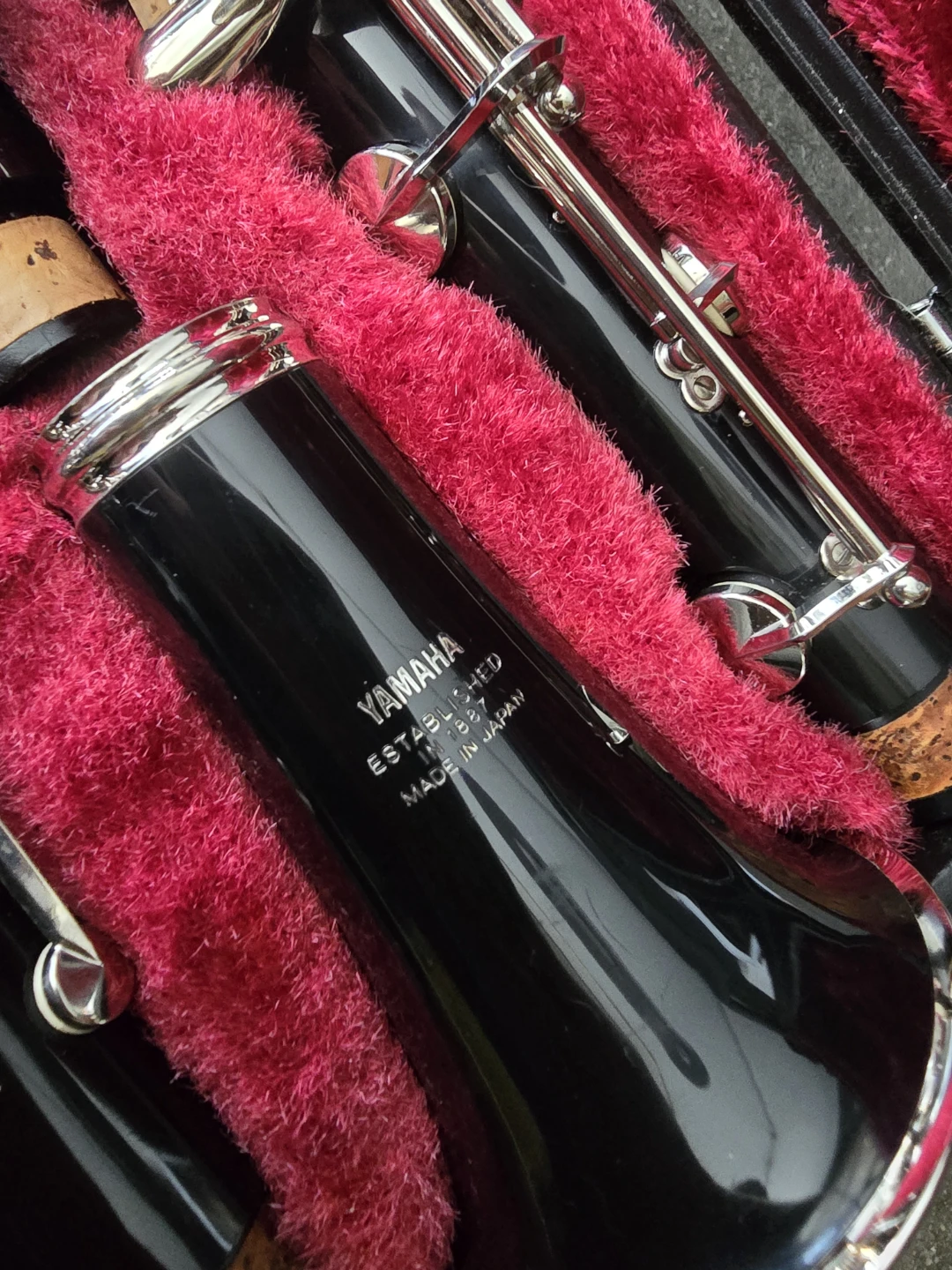 Yamaha Clarinet C100 with Sterisol and Reeds - photo 4