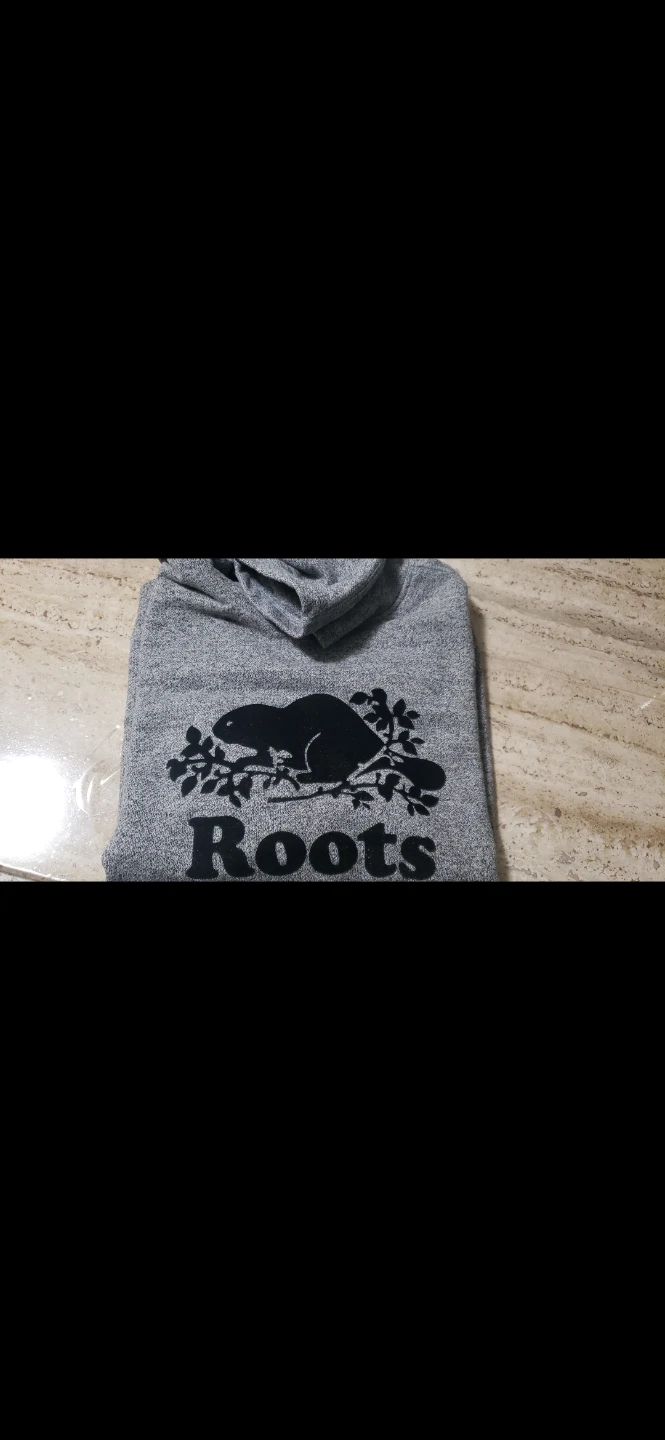 Roots Beaver Logo Hoodie