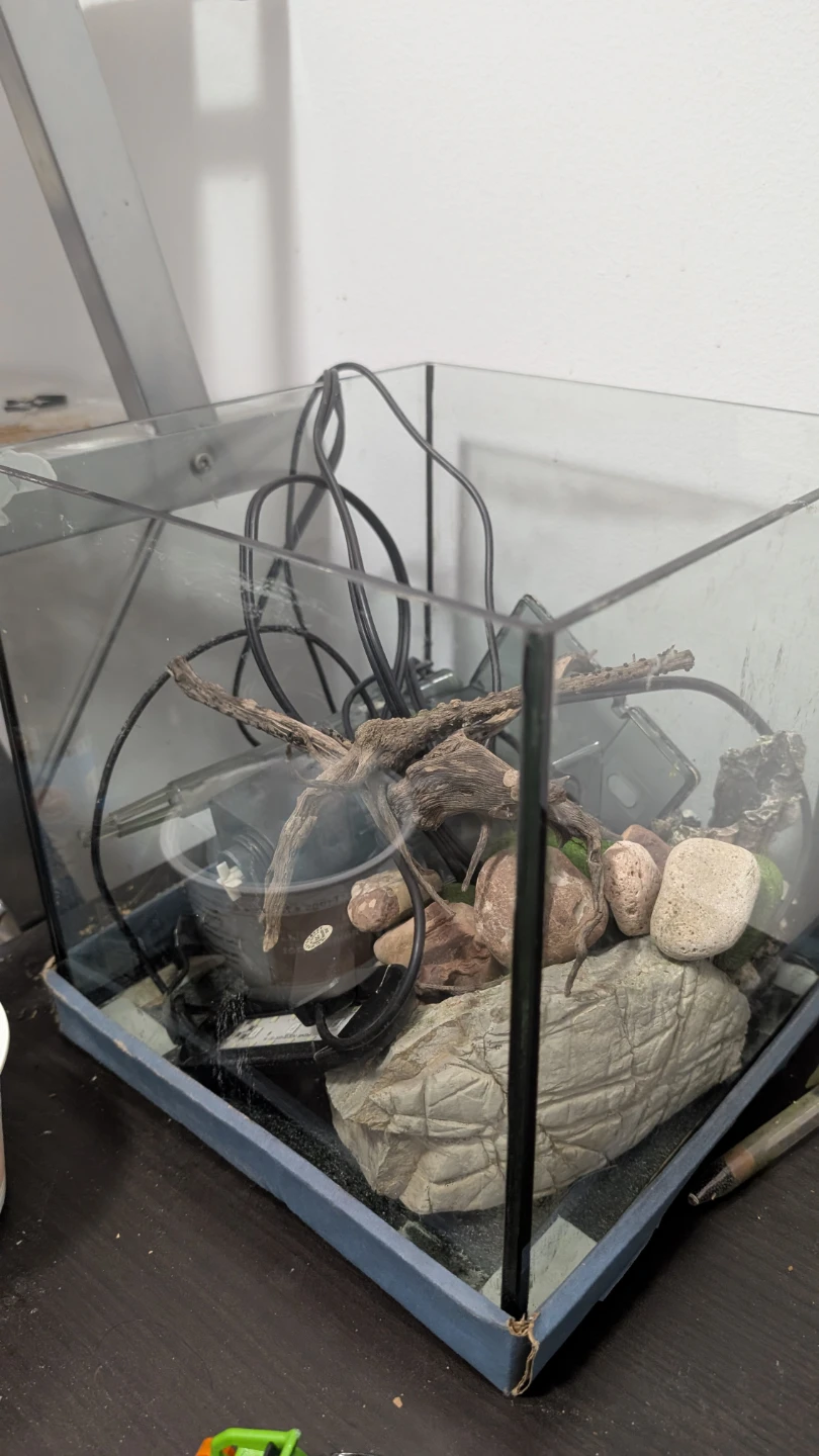 5G Glass aquarium /fish tank with Decor + filter + light