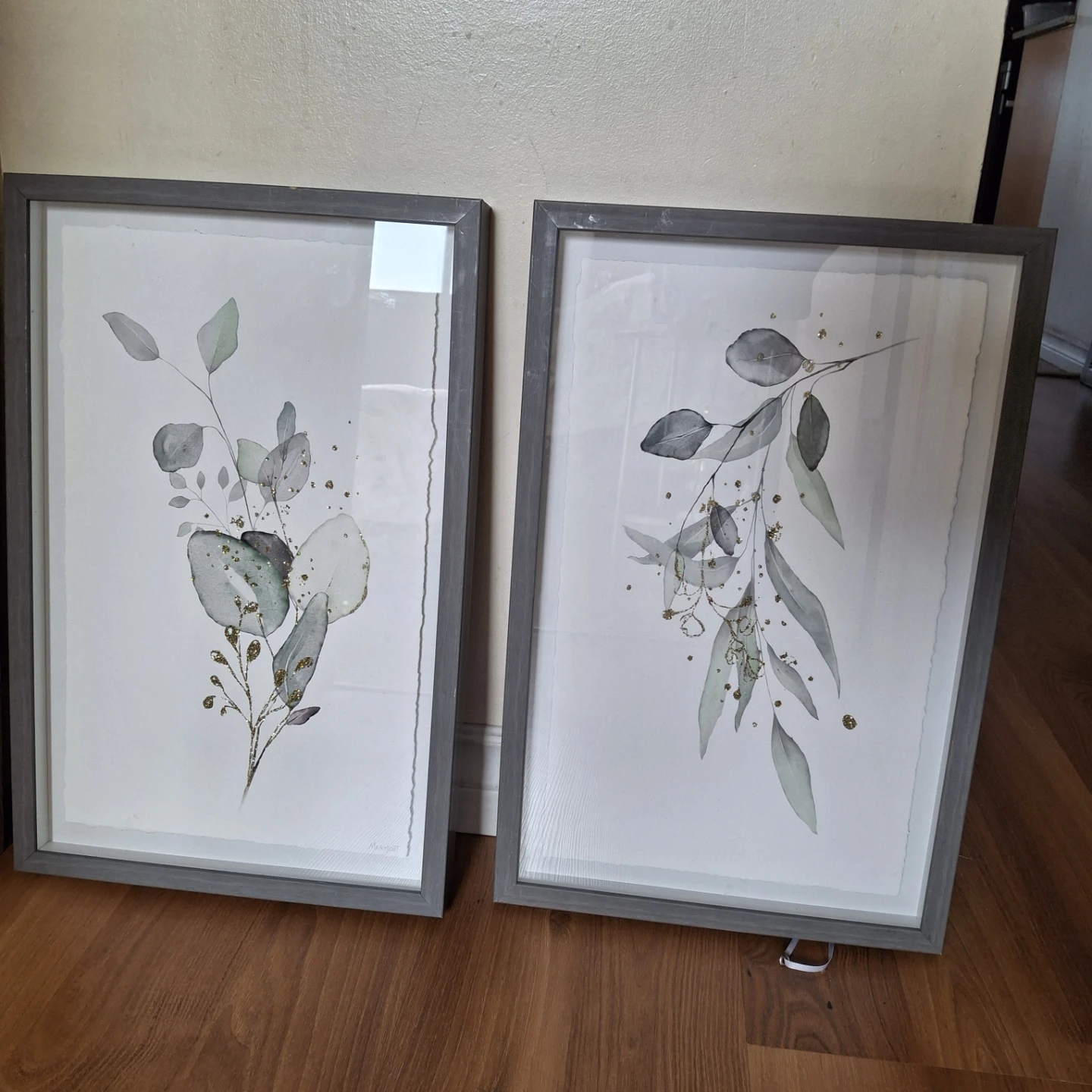 Framed Botanical Prints set of 2