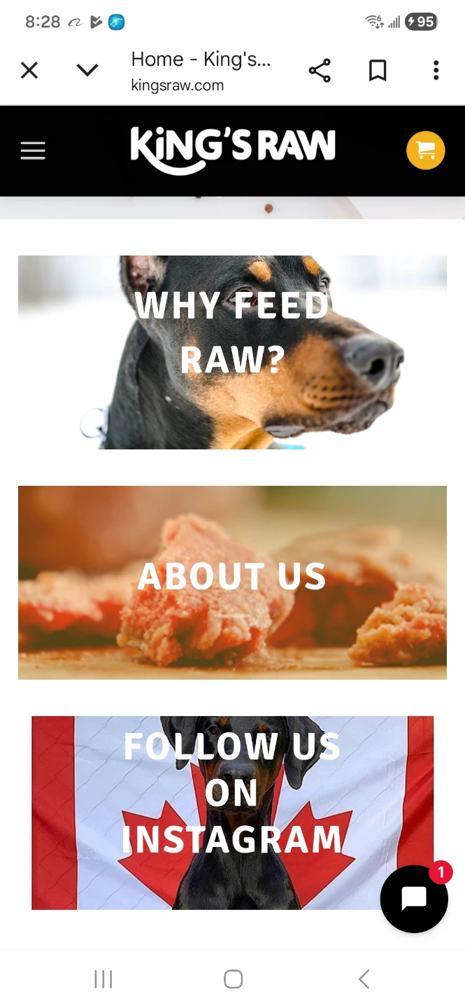 King's Raw B.A.R.F. Chicken Dog Food (10lbs) - photo 4