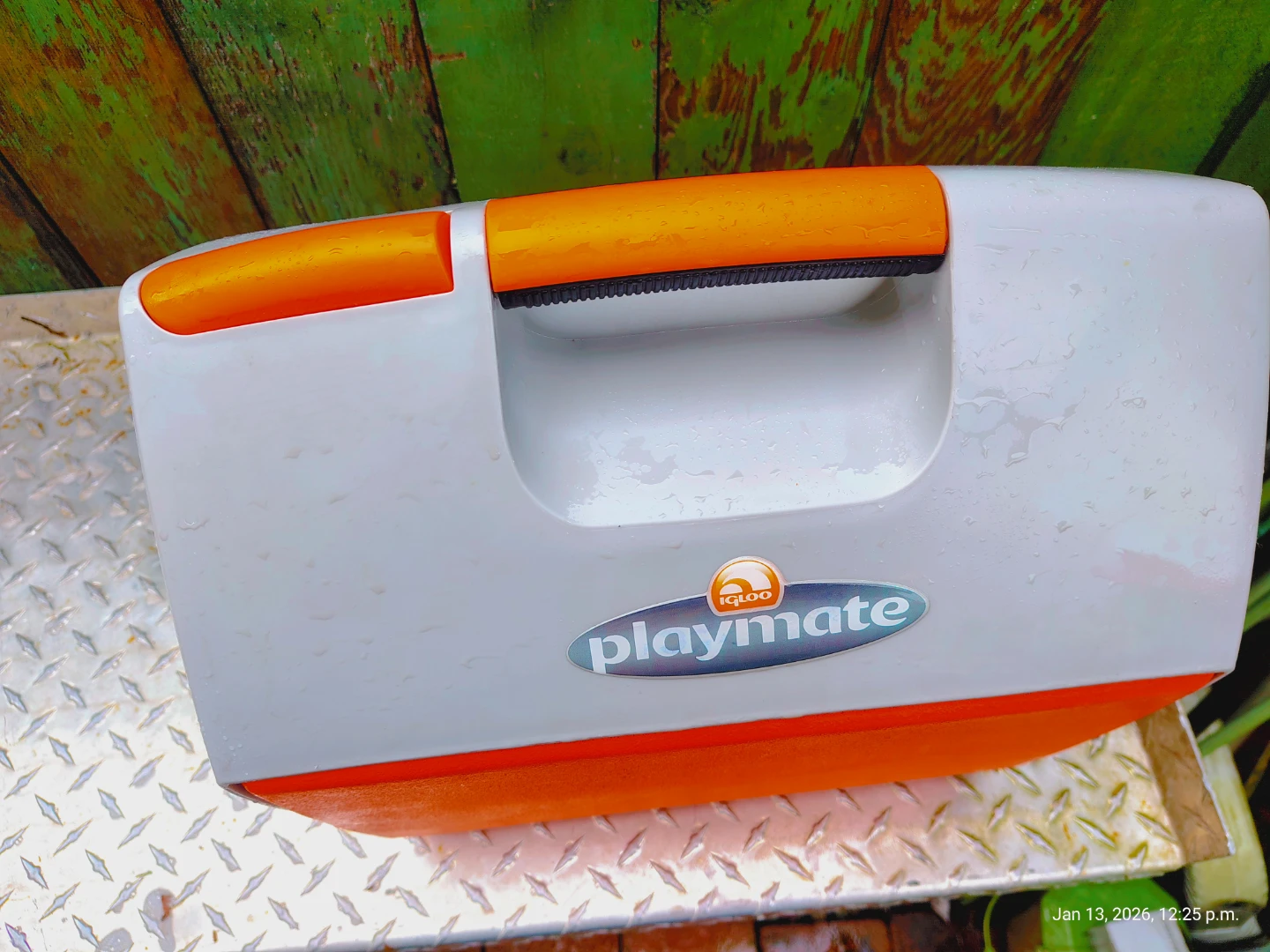 IGLOO PLAYMATE 16 Qt Picnic/Lunch Cooler - photo 5