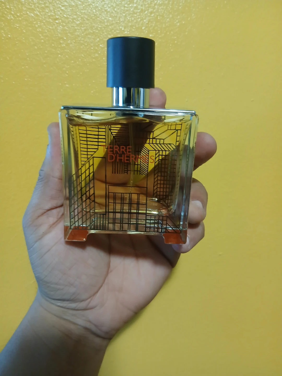 Hermès Terre D'Hermès eau de parfum